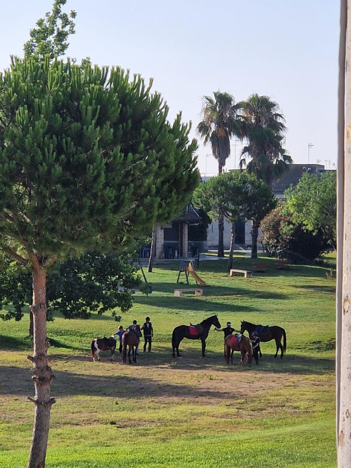 Vila La Macchia Botrugno Exteriér fotografie